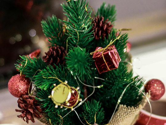 Producent choinek sztucznych – jak wybrać partnera do stabilnych dostaw i jakości premium Producent choinek sztucznych – jak wybrać partnera do stabilnych dostaw i jakości premium