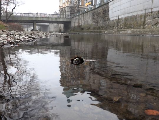 Rzeka bliska miastu